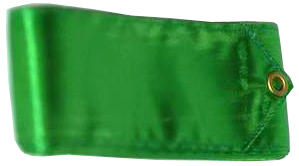  Nastro monocolore 5m Pastorelli Verde  ITALIA